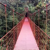 La Fortuna → Monteverde